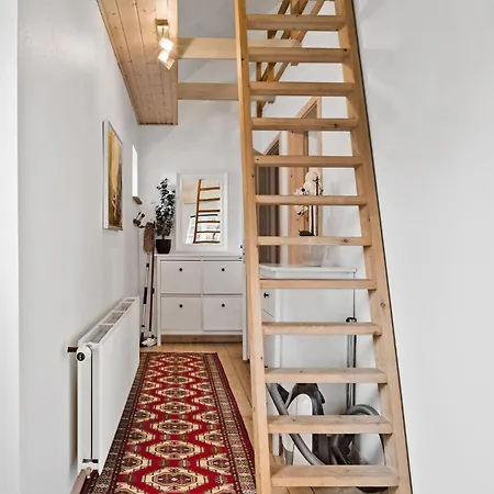 Apartment Stunning In With Kitchen